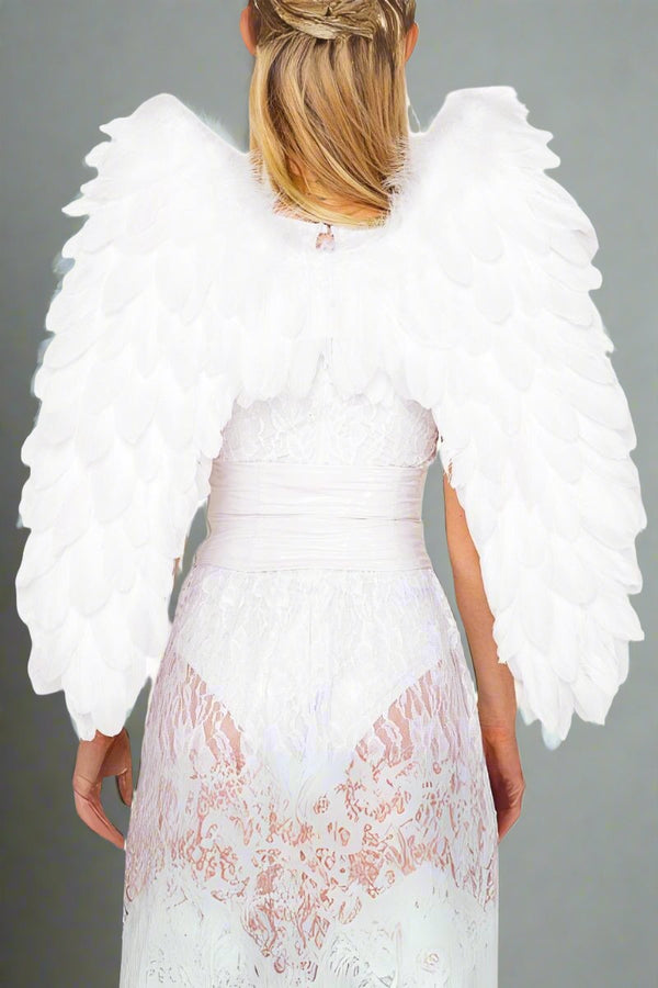 Delux Feathered Wings Costume Accessory